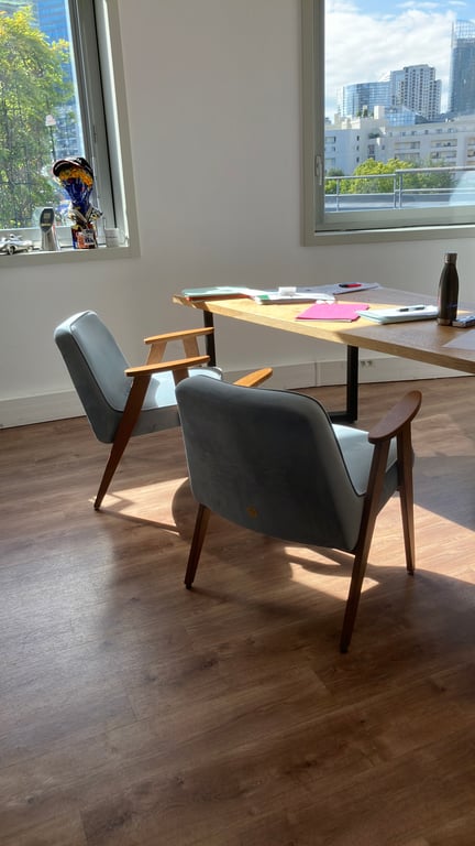 Fauteuil Gris en Velours avec Accoudoirs