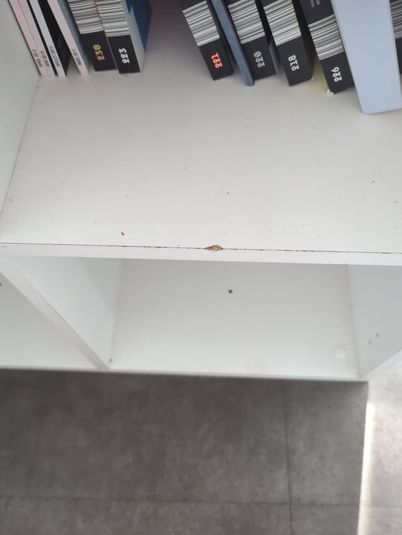 Casier de Rangement en Mélaminé - Non Verrouillable
