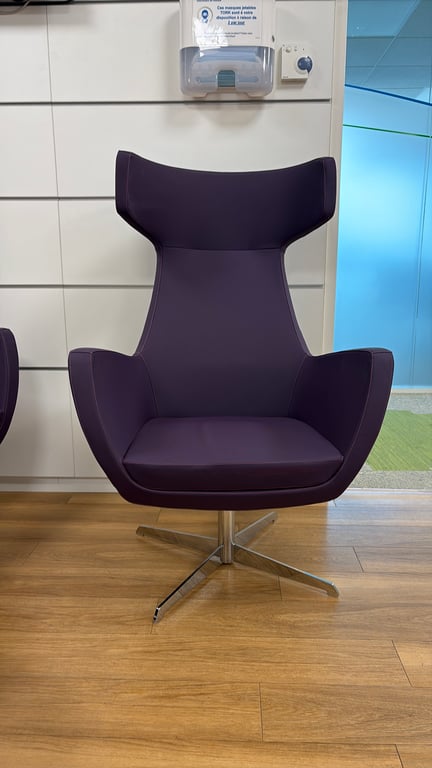 Fauteuil en cuir avec accoudoirs - Couleur Purple Heart