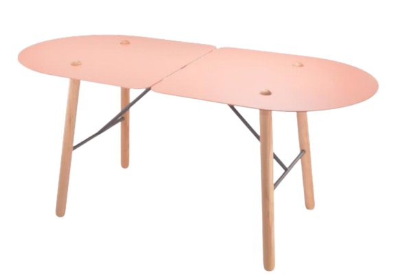 Table basse L113.5xl53xh51 Amaryllis Rose