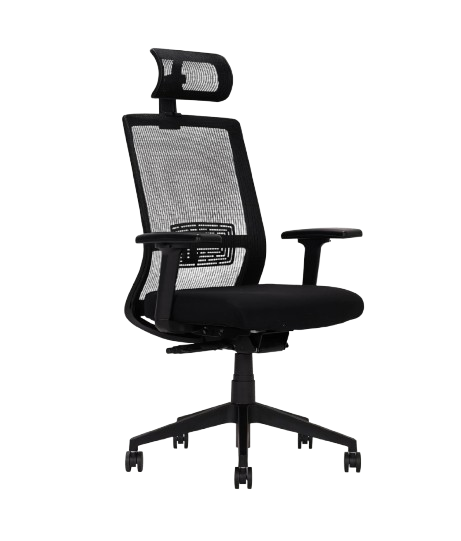 Fauteuil de Bureau Regianni