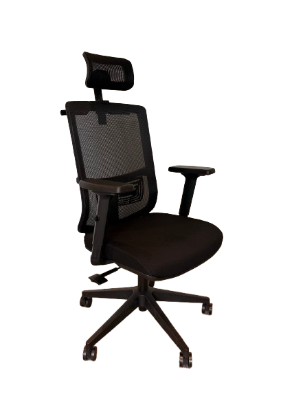 Regianni - Fauteuil de bureau avec têtière