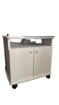 Armoire basse avec roulettes 60x50