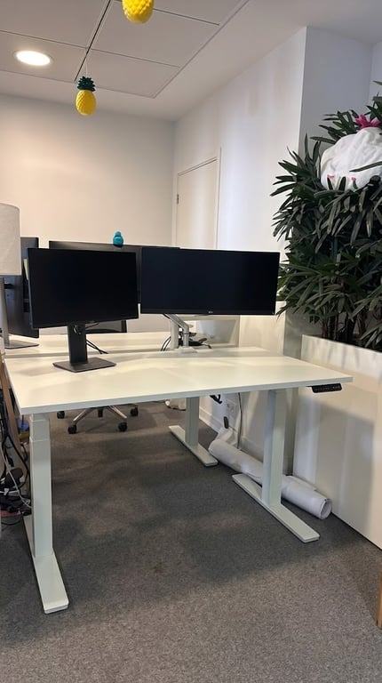 Bureau réglable électrique 170x80 cm