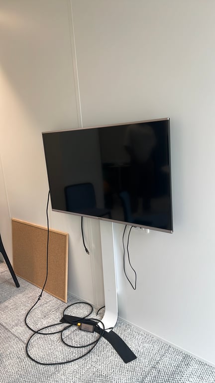 Écran Panasonic 109 x 63 cm - 3-4
