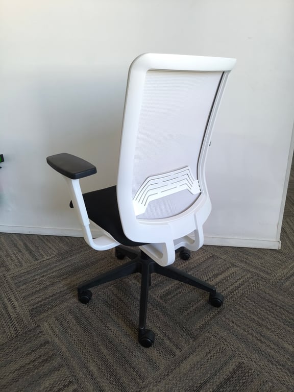 Fauteuil de bureau ergonomique Sokoa WI-MAX
