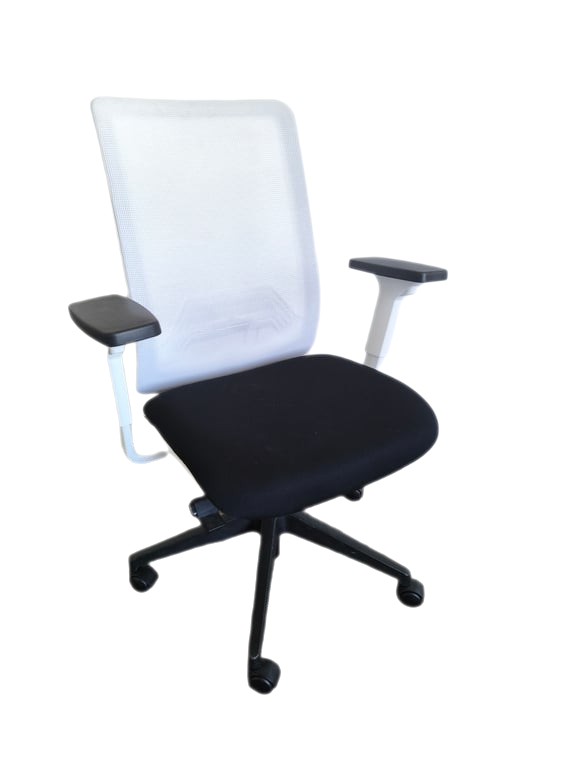 Fauteuil de bureau ergonomique Sokoa WI-MAX