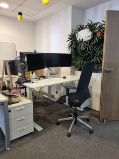 Fauteuil de bureau Sokoa noir - arriere