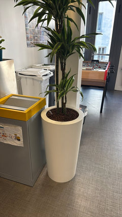 Pot de fleur en plastique blanc - ambiance