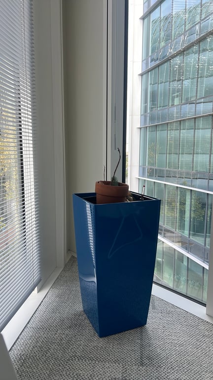 Pot de fleur en verre bleu - ambiance