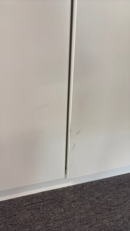 Armoire basse en mélaminé avec portes battantes