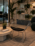 Fauteuil Design Knoll Bertoia Diamond