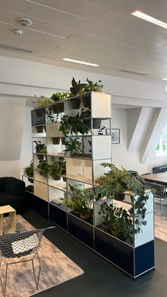 Bibliothèque USM - 3-4