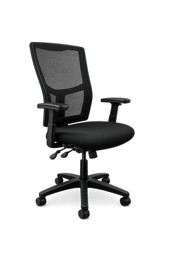 Fauteuil de bureau Ergo 2