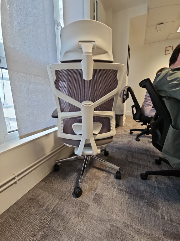 Fauteuil de bureau Holludle