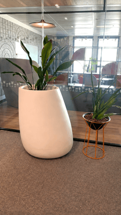 Pot de plante blanc en plastique