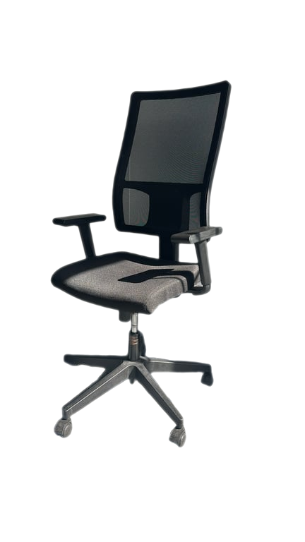 Fauteuil de bureau Noir