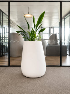 Pot de plante blanc en plastique