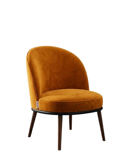 Fauteuil en Velours et Bois
