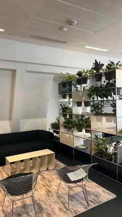 Bibliothèque USM - ambiance