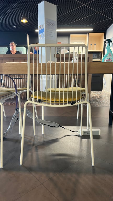 Chaise de cafétéria Pedrali - arriere