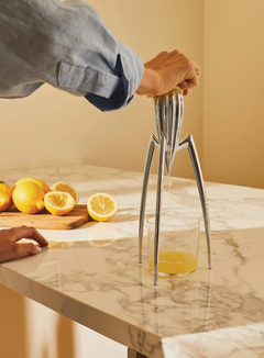 Presse-agrumes Alessi - Juicy Salif