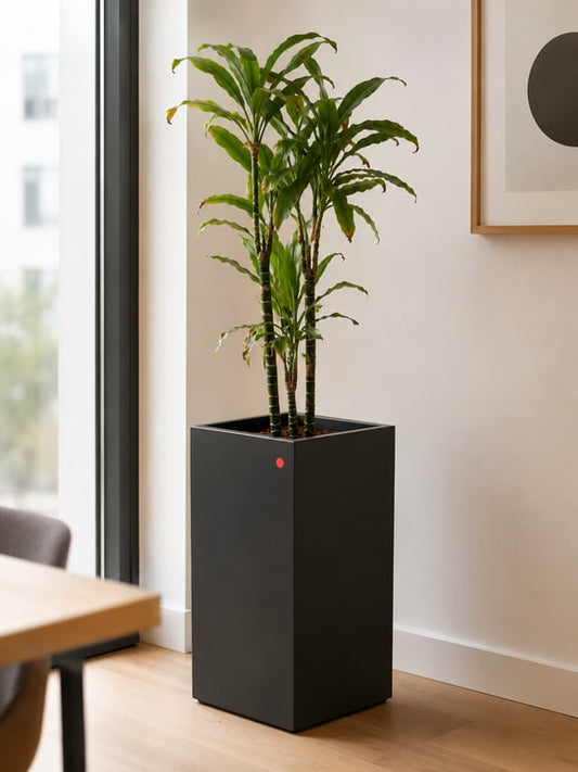 Cache-pot haut
