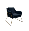 Sans marque - Fauteuil velour - Fauteuil avec accoudoirs en velour