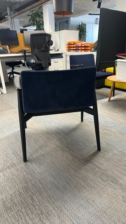 Chaise de cafétéria avec accoudoirs Pedrali - arriere