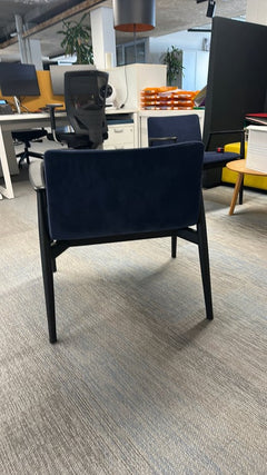 Chaise de cafétéria avec accoudoirs Pedrali - arriere