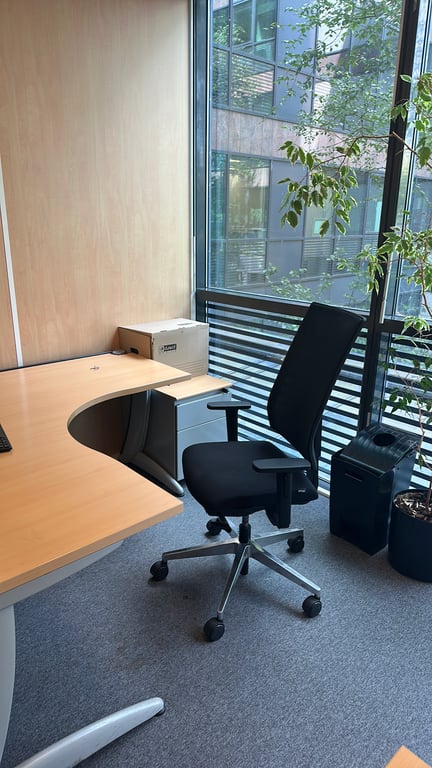 Fauteuil de bureau Gisberger Noir - ambiance