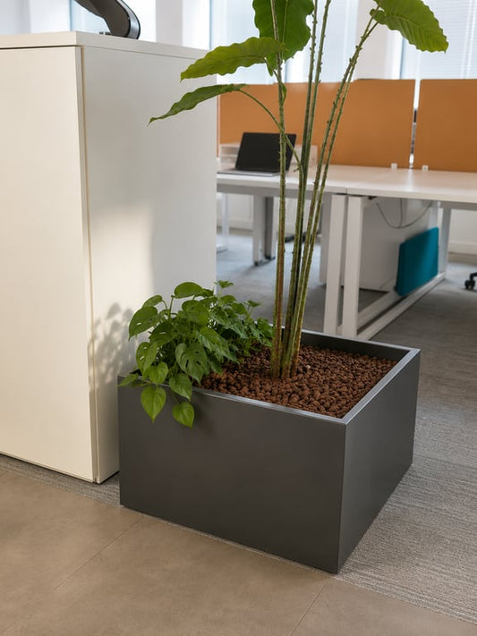 Pot de plante carré métal noir