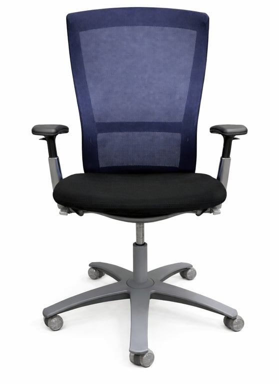 Fauteuil de bureau Knoll Life Bleu et Noir