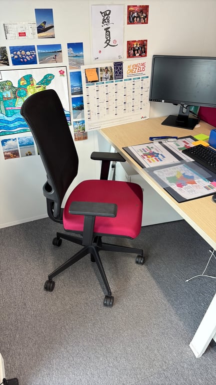 Fauteuil de bureau F1 Pro