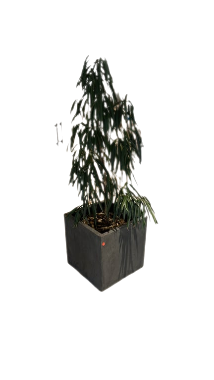 Pot carré 50x50 cm - 3-4