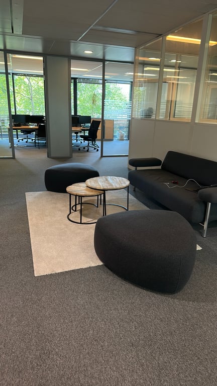 Pouf gris BoConcept - ambiance