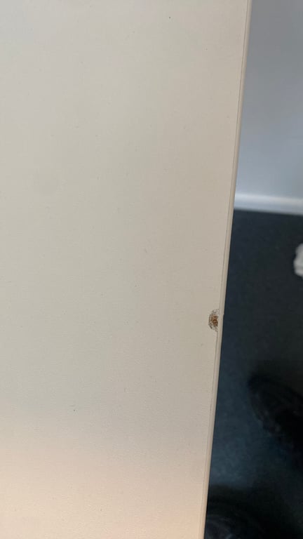 Bureau droit 140x70 cm avec plateau en mélaminé et pieds en métal