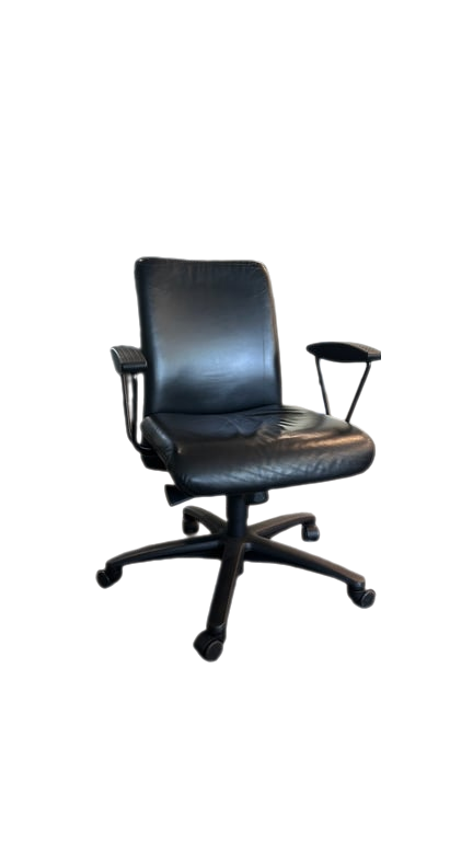 Fauteuil de bureau Gisberger Noir