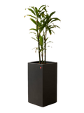 Cache-pot haut