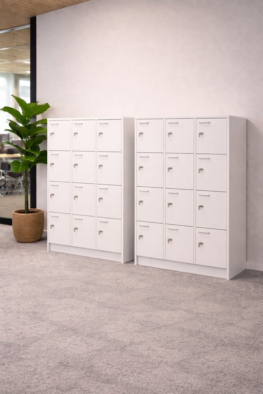 Casier de rangement avec fermeture à clé