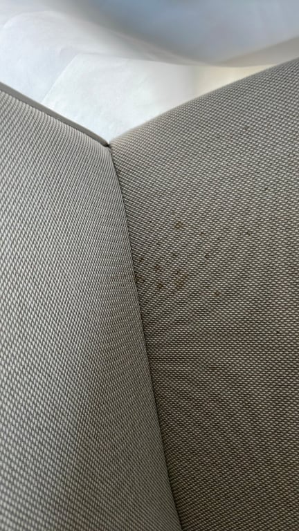 Chaise de réunion - Assise