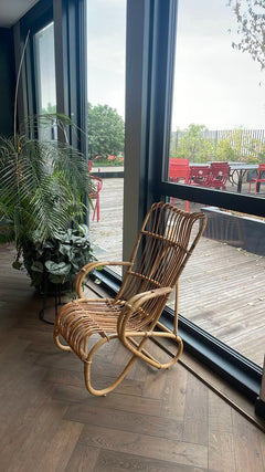 Fauteuil en rotin naturel - arriere
