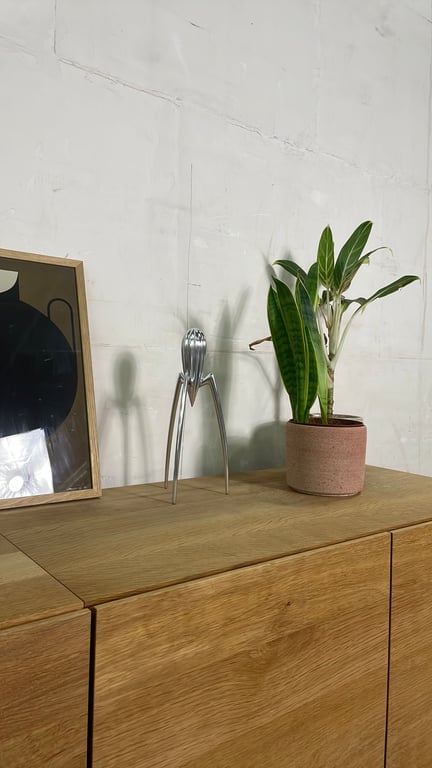Presse-agrumes Alessi - Juicy Salif - ambiance