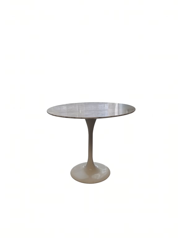 Table de réunion ronde en marbre et plastique